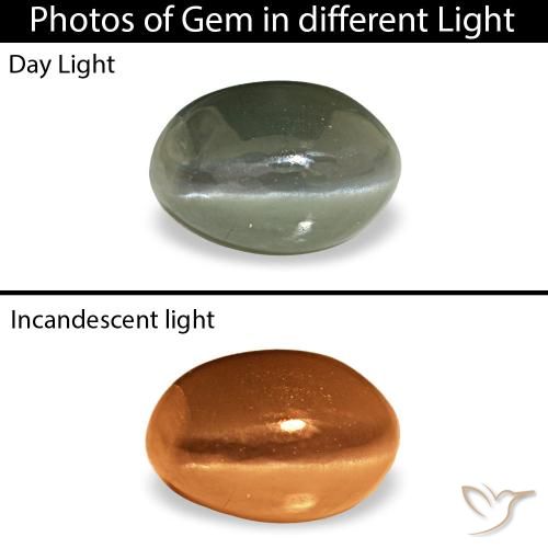 0.53克拉天然绿色Cat's Eye Alexandrite，椭圆形切割，5.2×3.6毫米，不透明