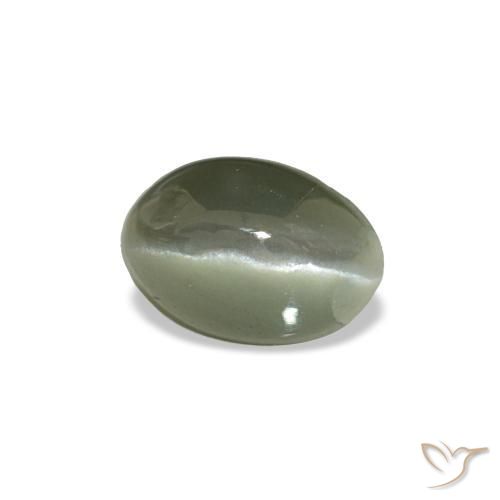 0.53克拉天然绿色Cat's Eye Alexandrite，椭圆形切割，5.2×3.6毫米，不透明