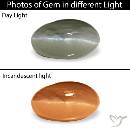 0.50克拉绿色 Cat's Eye Alexandrite, 椭圆形, 不透明