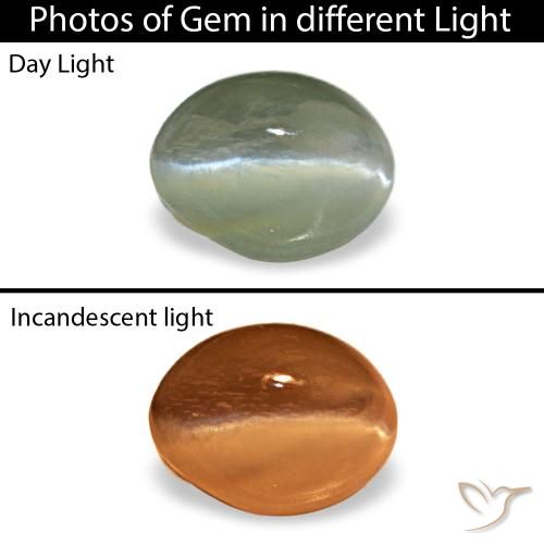 0.54克拉天然绿色Cat's Eye Alexandrite，椭圆形切割，5×3.8毫米，不透明