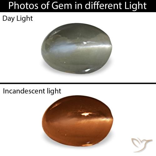 0.54克拉天然绿色Cat's Eye Alexandrite，椭圆形切割，5.3×3.9毫米，不透明