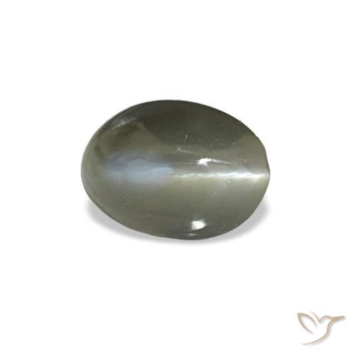 0.54克拉天然绿色Cat's Eye Alexandrite，椭圆形切割，5.3×3.9毫米，不透明