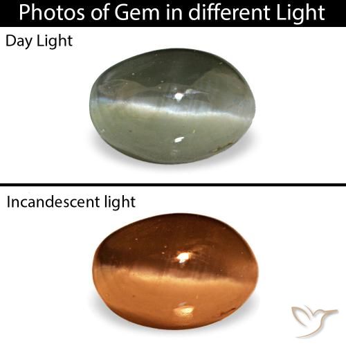 0.49克拉天然绿色Cat's Eye Alexandrite，椭圆形切割，4.9×3.4毫米，不透明