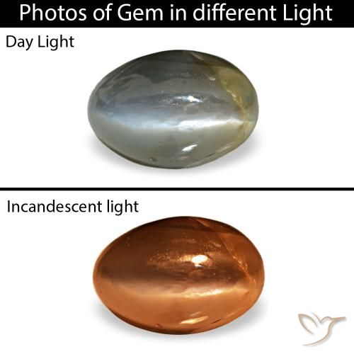 0.52克拉天然绿色Cat's Eye Alexandrite，椭圆形切割，5×3.4毫米，不透明