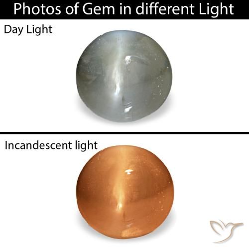 0.51克拉天然灰色Cat's Eye Alexandrite，椭圆形切割，4.6×4.4毫米，不透明