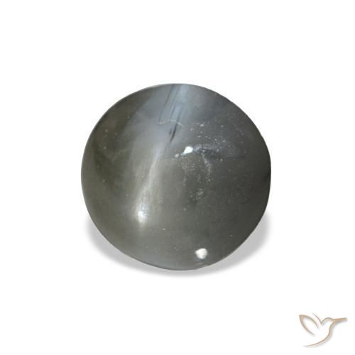 0.51克拉天然灰色Cat's Eye Alexandrite，椭圆形切割，4.6×4.4毫米，不透明