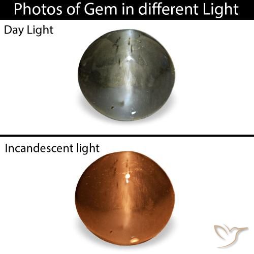 0.47克拉灰色 Cat's Eye Alexandrite, 椭圆形, 不透明