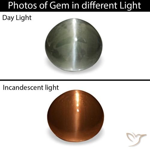 0.42克拉天然灰色Cat's Eye Alexandrite，椭圆形切割，4.6×4.3毫米，不透明