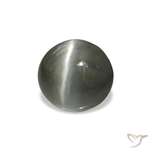 0.42克拉天然灰色Cat's Eye Alexandrite，椭圆形切割，4.6×4.3毫米，不透明