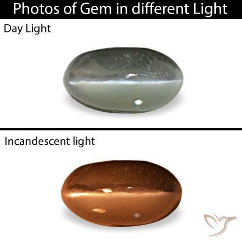 0.45克拉天然灰色Cat's Eye Alexandrite，椭圆形切割，5.1×2.8毫米，不透明
