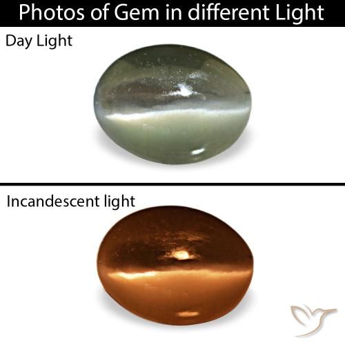 0.42克拉天然灰色Cat's Eye Alexandrite，椭圆形切割，5.2×3.9毫米，不透明