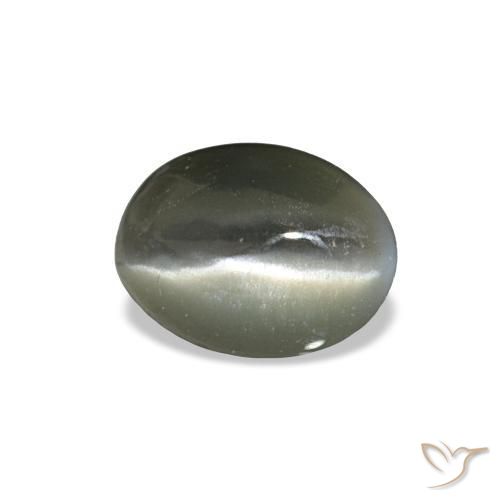 0.42克拉天然灰色Cat's Eye Alexandrite，椭圆形切割，5.2×3.9毫米，不透明