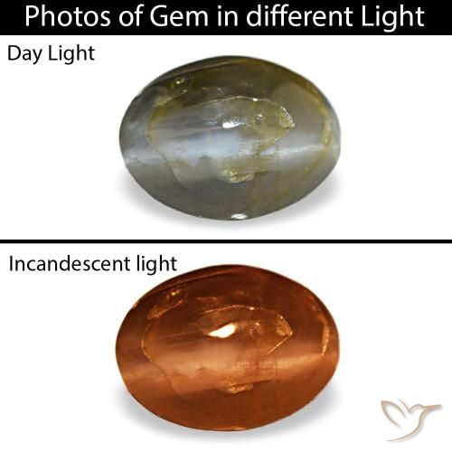 0.48克拉灰色 Cat's Eye Alexandrite, 椭圆形, 不透明