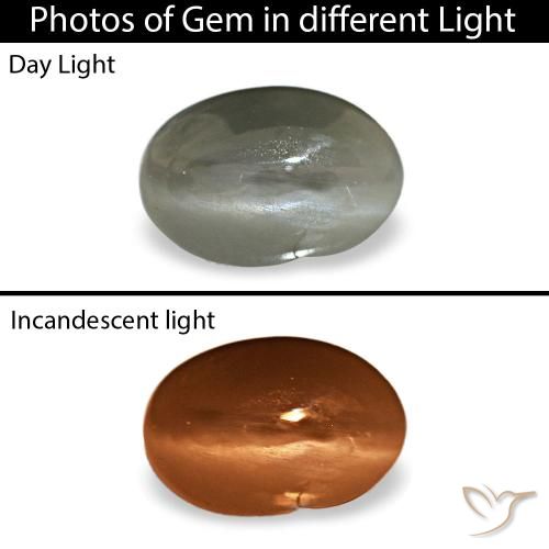 0.35克拉天然灰色Cat's Eye Alexandrite，椭圆形切割，5.2×3.5毫米，不透明
