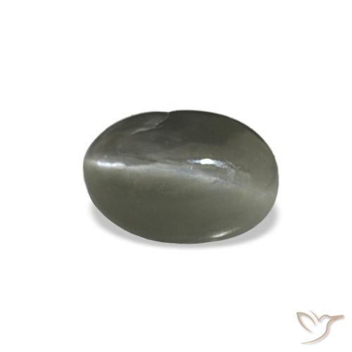 0.35克拉天然灰色Cat's Eye Alexandrite，椭圆形切割，5.2×3.5毫米，不透明