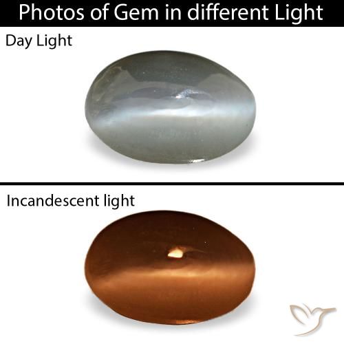 0.33克拉灰色 Cat's Eye Alexandrite, 椭圆形, 不透明