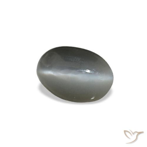 0.33克拉天然灰色Cat's Eye Alexandrite，椭圆形切割，5×3.4毫米，不透明
