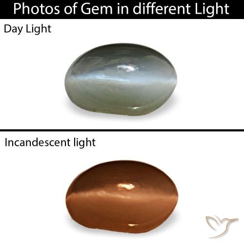 0.40克拉灰色 Cat's Eye Alexandrite, 椭圆形, 不透明