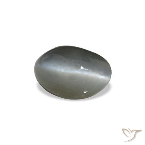 0.40克拉天然灰色Cat's Eye Alexandrite，椭圆形切割，4.6×3.1毫米，不透明