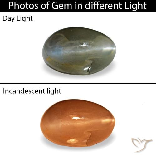 0.46克拉天然灰色Cat's Eye Alexandrite，椭圆形切割，5.3×3.3毫米，不透明