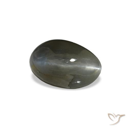 0.46克拉天然灰色Cat's Eye Alexandrite，椭圆形切割，5.3×3.3毫米，不透明