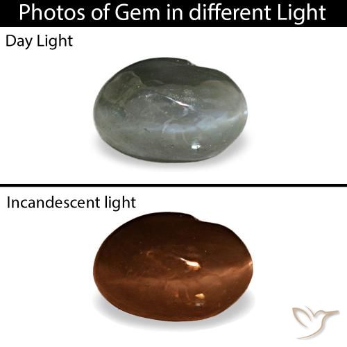 0.41克拉灰色 Cat's Eye Alexandrite, 椭圆形, 不透明