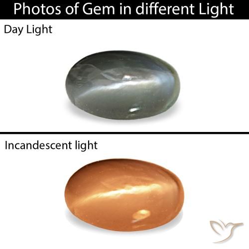 0.43克拉灰色 Cat's Eye Alexandrite, 椭圆形, 不透明