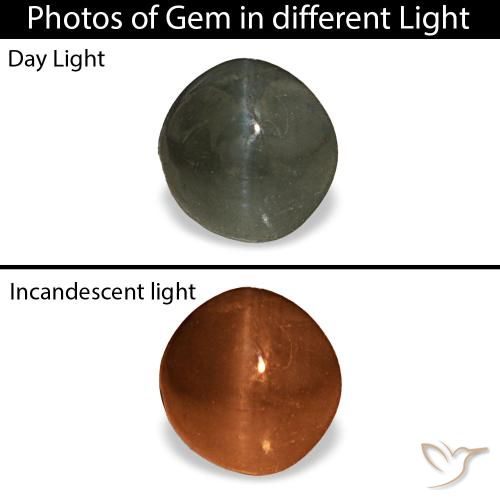 0.66克拉天然灰色Cat's Eye Alexandrite，圆形切割，4.86毫米，不透明