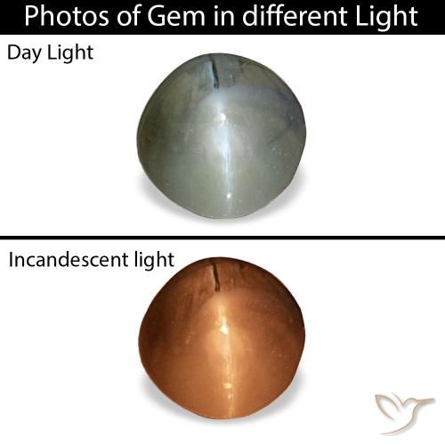 0.85克拉灰色 Cat's Eye Alexandrite, 圆形, 不透明