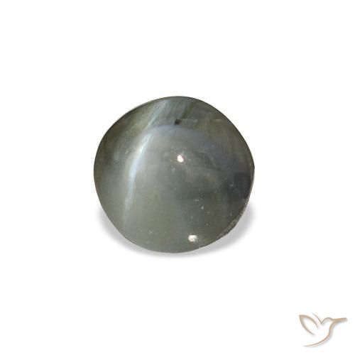 0.85克拉天然灰色Cat's Eye Alexandrite，圆形切割，5.08毫米，不透明