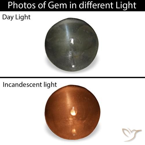 1.92克拉灰色 Cat's Eye Alexandrite, 圆形, 不透明