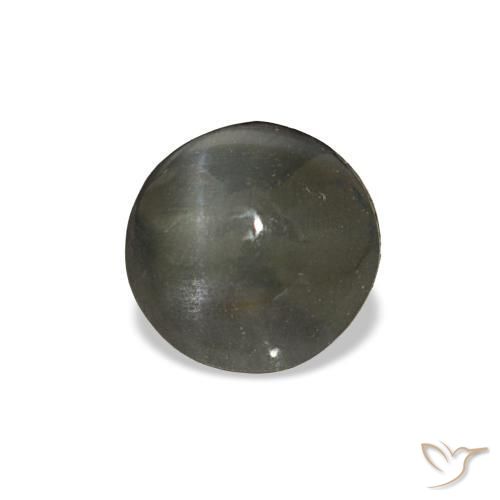 1.92克拉天然灰色Cat's Eye Alexandrite，圆形切割，6.49毫米，不透明