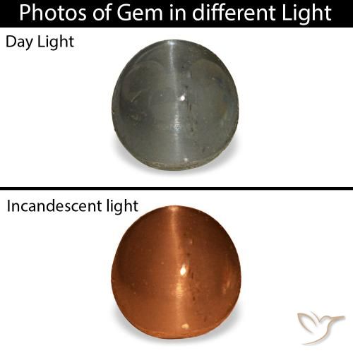 0.80克拉天然灰色Cat's Eye Alexandrite，椭圆形切割，4.9×4.7毫米，不透明