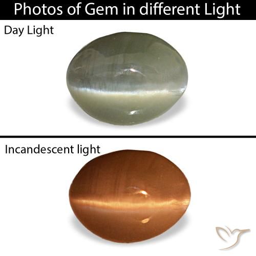 0.44克拉灰色 Cat's Eye Alexandrite, 椭圆形, 不透明