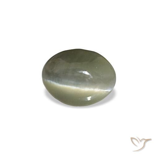 0.44克拉天然灰色Cat's Eye Alexandrite，椭圆形切割，5.1×3.9毫米，不透明