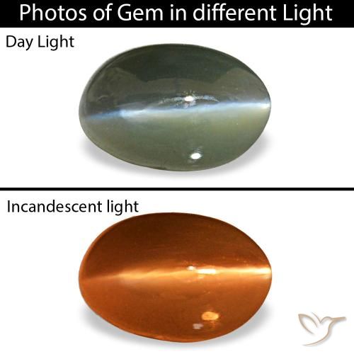 0.50克拉灰色 Cat's Eye Alexandrite, 椭圆形, 不透明