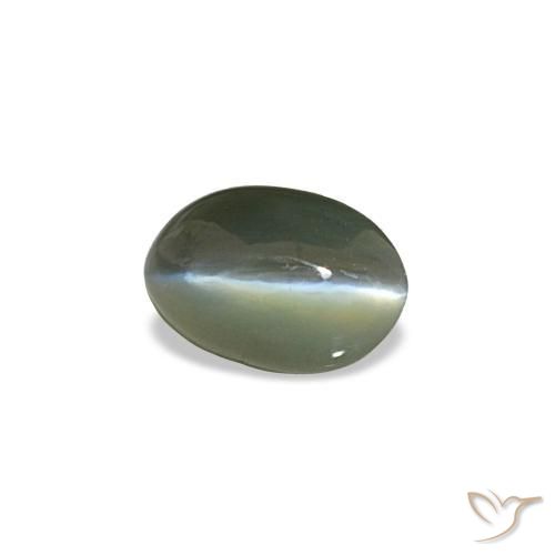 0.50克拉天然灰色Cat's Eye Alexandrite，椭圆形切割，5.3×3.5毫米，不透明