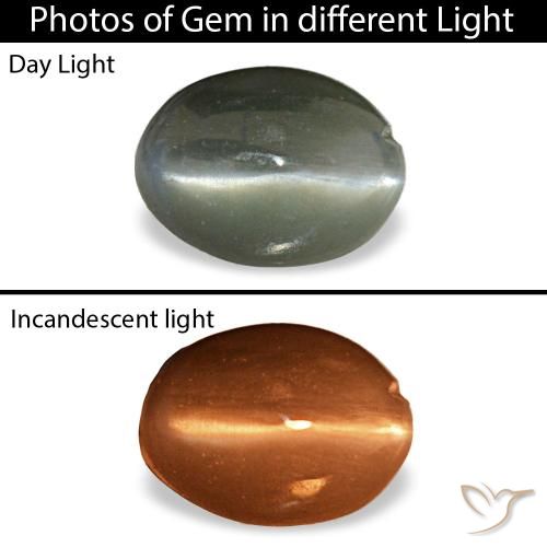 0.39克拉天然灰色Cat's Eye Alexandrite，椭圆形切割，5.1×3.7毫米，不透明
