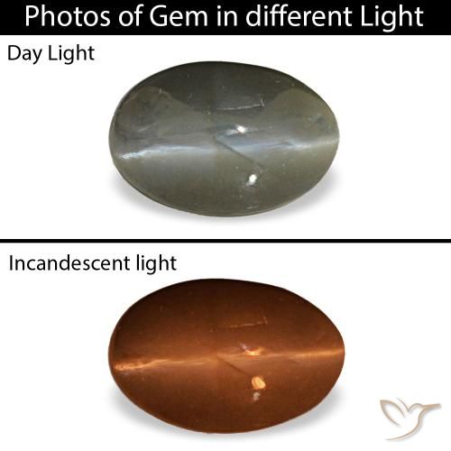 0.47克拉灰色 Cat's Eye Alexandrite, 椭圆形, 不透明