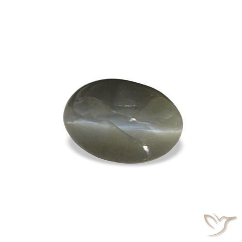 0.47克拉天然灰色Cat's Eye Alexandrite，椭圆形切割，5.5×3.7毫米，不透明