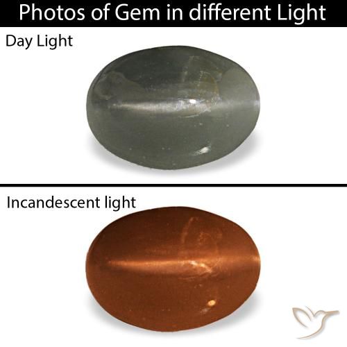 0.47克拉灰色 Cat's Eye Alexandrite, 椭圆形, 不透明