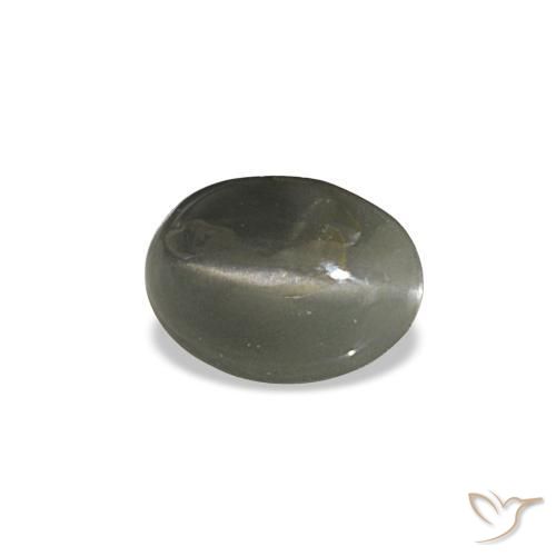 0.47克拉天然灰色Cat's Eye Alexandrite，椭圆形切割，5.5×4毫米，不透明