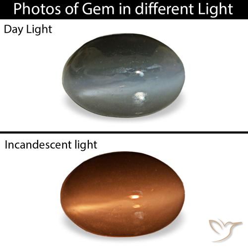 0.50克拉天然灰色Cat's Eye Alexandrite，椭圆形切割，5.2×3.5毫米，不透明
