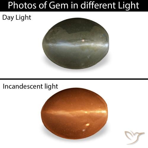 0.45克拉灰色 Cat's Eye Alexandrite, 椭圆形, 不透明
