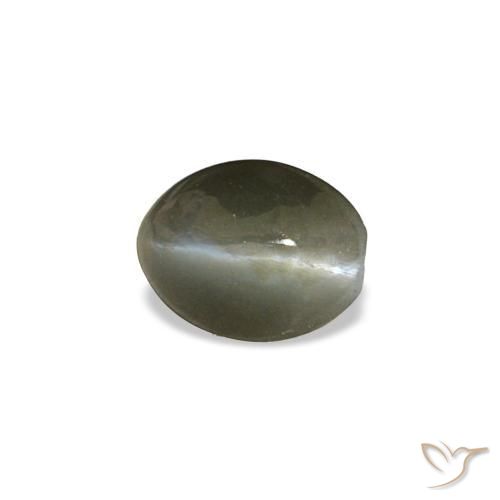 0.45克拉天然灰色Cat's Eye Alexandrite，椭圆形切割，5×3.9毫米，不透明