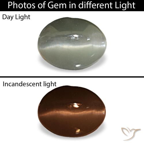 1.03克拉灰色 Cat's Eye Alexandrite, 椭圆形, 不透明