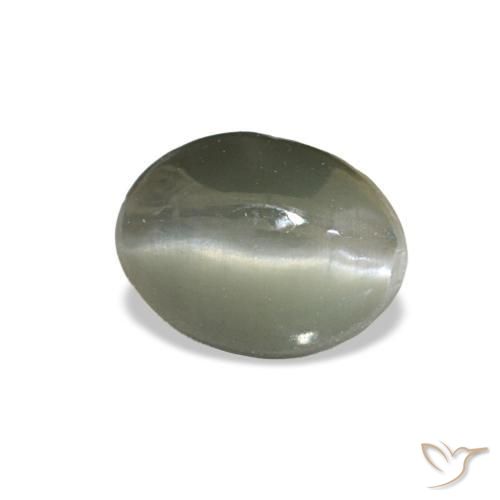 1.03克拉天然灰色Cat's Eye Alexandrite，椭圆形切割，6.1×4.6毫米，不透明