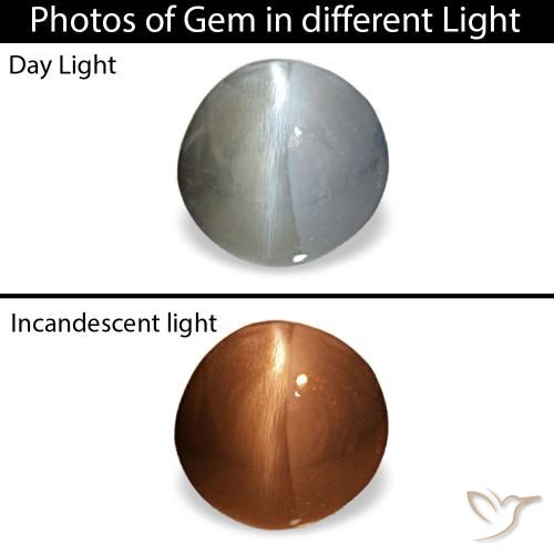 0.88克拉天然灰色Cat's Eye Alexandrite，椭圆形切割，5.5×5.4毫米，不透明