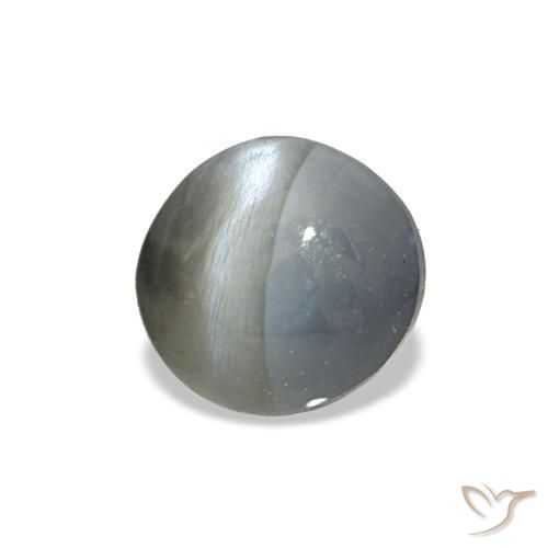 0.88克拉天然灰色Cat's Eye Alexandrite，椭圆形切割，5.5×5.4毫米，不透明