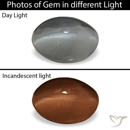 1.03克拉天然灰色Cat's Eye Alexandrite，椭圆形切割，6.3×4.3毫米，不透明